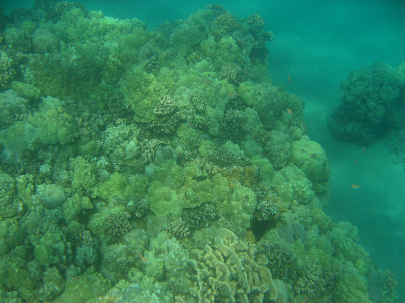 Hapuna-Beach-State-Park-Kamuela-Kohala-Big-Island-Hawaii-025