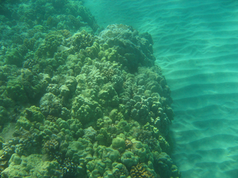 Hapuna-Beach-State-Park-Kamuela-Kohala-Big-Island-Hawaii-026