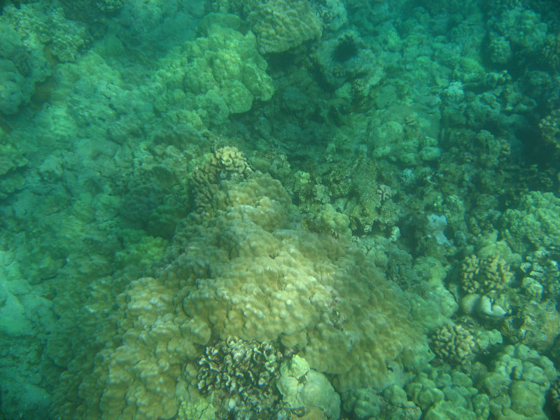 Hapuna-Beach-State-Park-Kamuela-Kohala-Big-Island-Hawaii-027