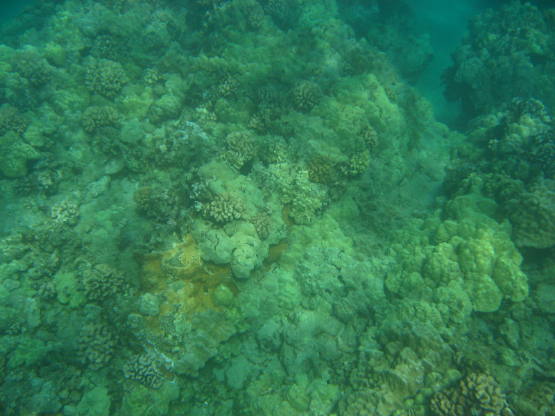 Hapuna-Beach-State-Park-Kamuela-Kohala-Big-Island-Hawaii-028