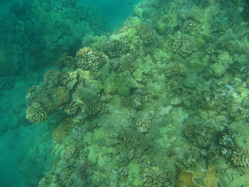 Hapuna-Beach-State-Park-Kamuela-Kohala-Big-Island-Hawaii-029