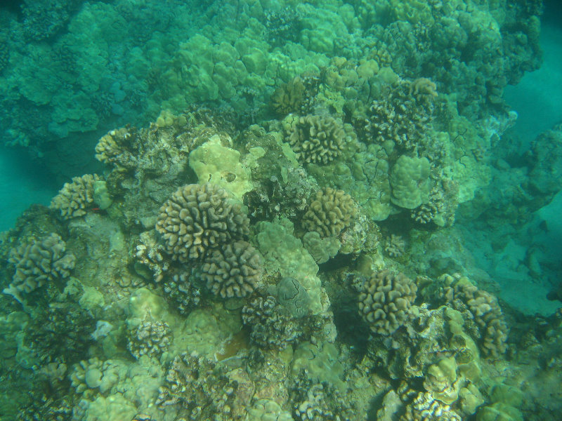 Hapuna-Beach-State-Park-Kamuela-Kohala-Big-Island-Hawaii-030