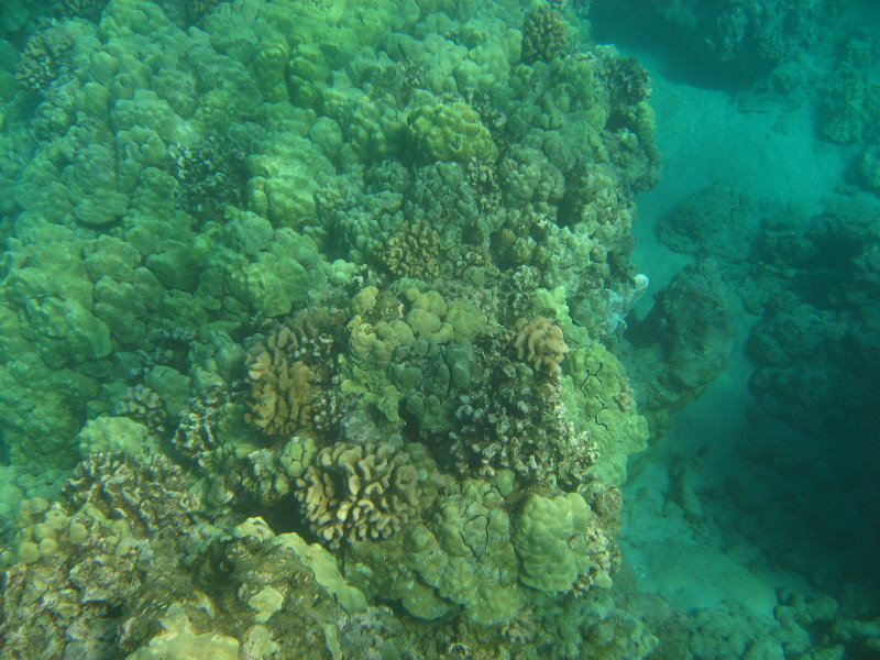 Hapuna-Beach-State-Park-Kamuela-Kohala-Big-Island-Hawaii-031