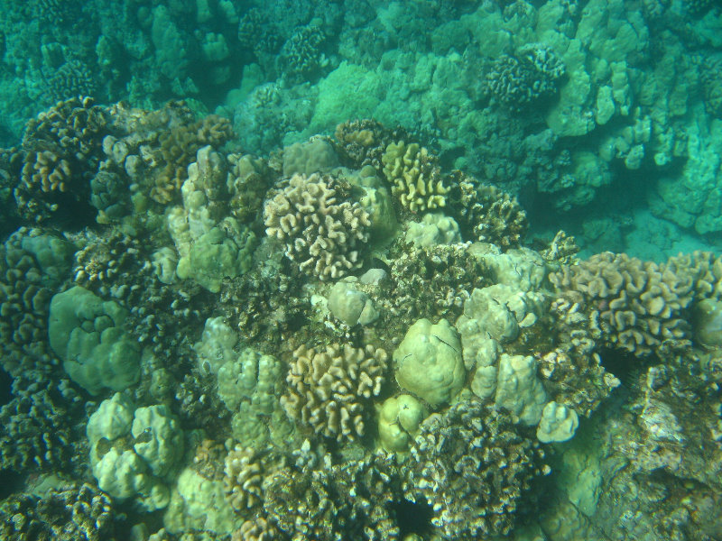 Hapuna-Beach-State-Park-Kamuela-Kohala-Big-Island-Hawaii-033