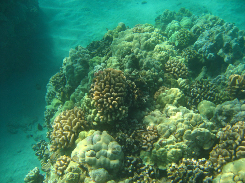 Hapuna-Beach-State-Park-Kamuela-Kohala-Big-Island-Hawaii-034