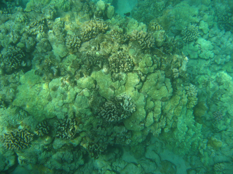 Hapuna-Beach-State-Park-Kamuela-Kohala-Big-Island-Hawaii-036