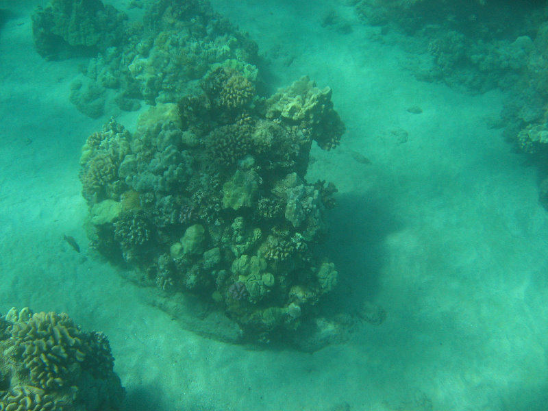 Hapuna-Beach-State-Park-Kamuela-Kohala-Big-Island-Hawaii-037