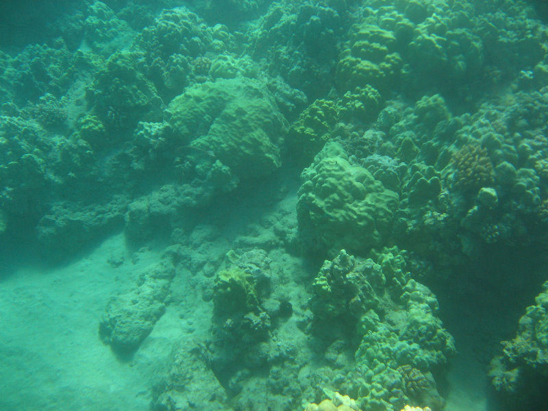 Hapuna-Beach-State-Park-Kamuela-Kohala-Big-Island-Hawaii-039