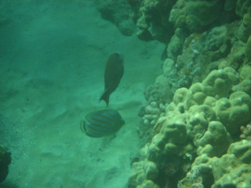 Hapuna-Beach-State-Park-Kamuela-Kohala-Big-Island-Hawaii-046