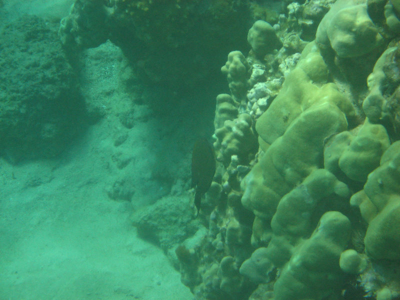 Hapuna-Beach-State-Park-Kamuela-Kohala-Big-Island-Hawaii-047