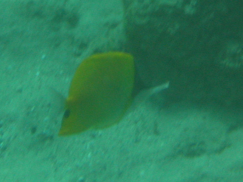 Hapuna-Beach-State-Park-Kamuela-Kohala-Big-Island-Hawaii-048