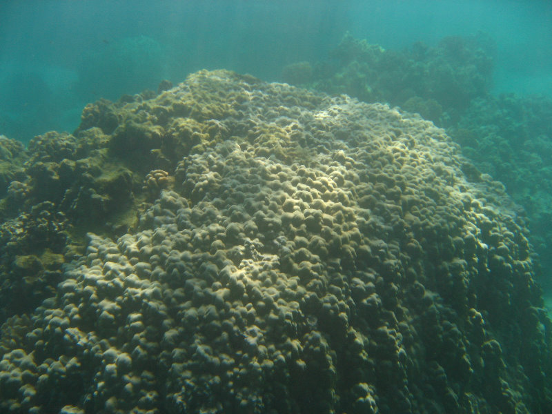 Hapuna-Beach-State-Park-Kamuela-Kohala-Big-Island-Hawaii-051