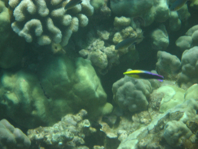 Hapuna-Beach-State-Park-Kamuela-Kohala-Big-Island-Hawaii-054