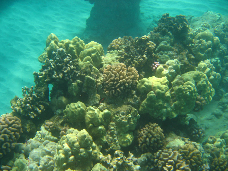 Hapuna-Beach-State-Park-Kamuela-Kohala-Big-Island-Hawaii-059