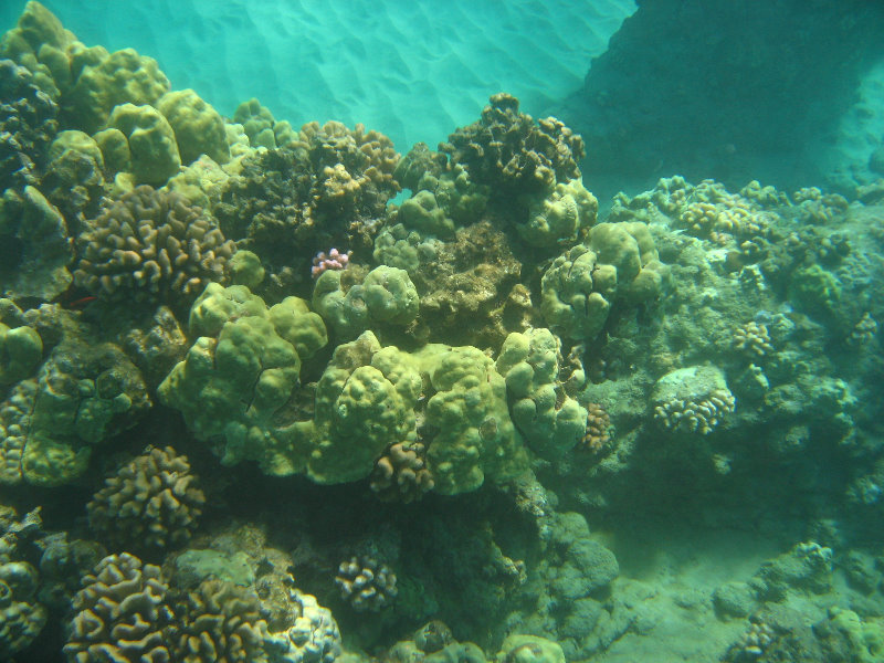 Hapuna-Beach-State-Park-Kamuela-Kohala-Big-Island-Hawaii-065