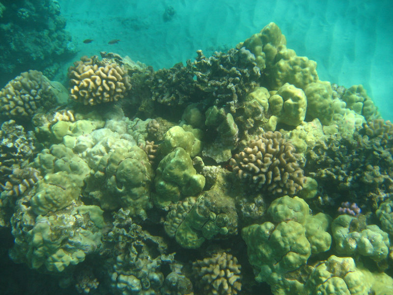 Hapuna-Beach-State-Park-Kamuela-Kohala-Big-Island-Hawaii-066