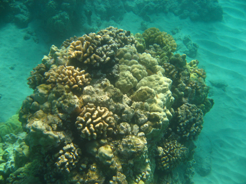 Hapuna-Beach-State-Park-Kamuela-Kohala-Big-Island-Hawaii-067