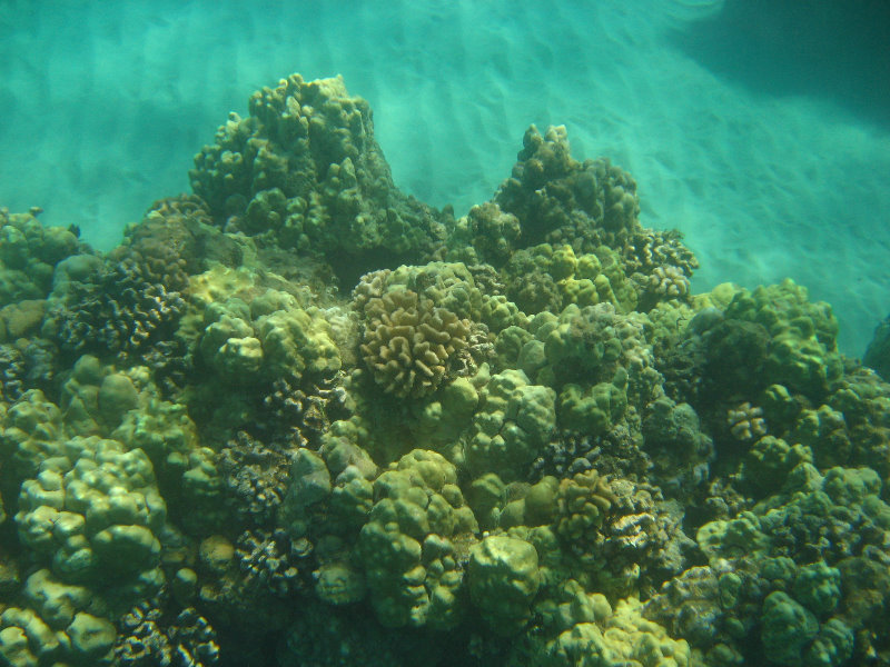 Hapuna-Beach-State-Park-Kamuela-Kohala-Big-Island-Hawaii-068