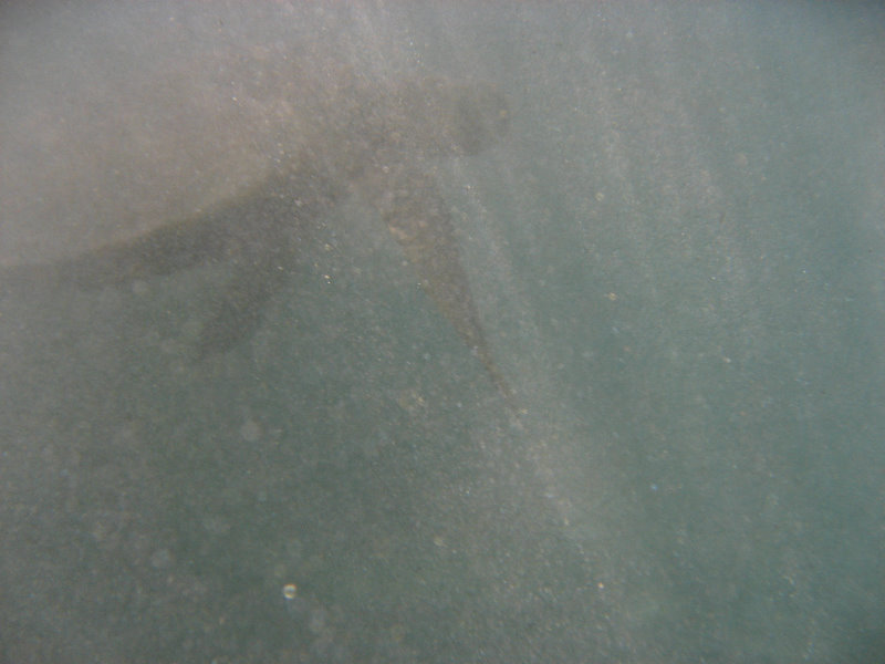 Hapuna-Beach-State-Park-Kamuela-Kohala-Big-Island-Hawaii-076