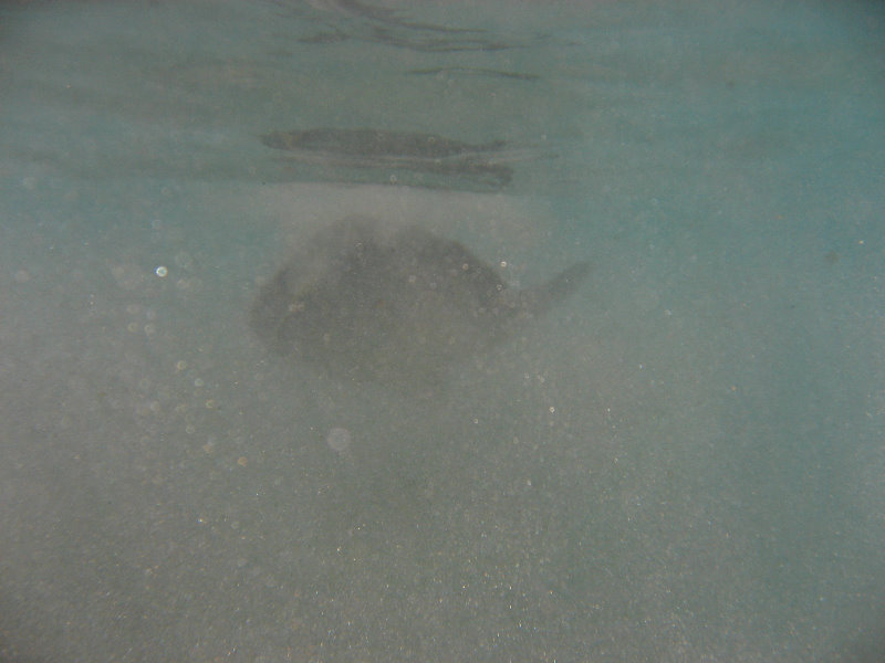 Hapuna-Beach-State-Park-Kamuela-Kohala-Big-Island-Hawaii-078