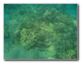 Hapuna-Beach-State-Park-Kamuela-Kohala-Big-Island-Hawaii-014