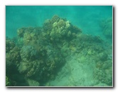 Hapuna-Beach-State-Park-Kamuela-Kohala-Big-Island-Hawaii-015