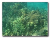 Hapuna-Beach-State-Park-Kamuela-Kohala-Big-Island-Hawaii-016