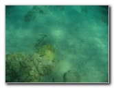 Hapuna-Beach-State-Park-Kamuela-Kohala-Big-Island-Hawaii-018