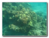 Hapuna-Beach-State-Park-Kamuela-Kohala-Big-Island-Hawaii-019