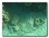 Hapuna-Beach-State-Park-Kamuela-Kohala-Big-Island-Hawaii-020