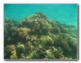 Hapuna-Beach-State-Park-Kamuela-Kohala-Big-Island-Hawaii-021