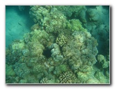 Hapuna-Beach-State-Park-Kamuela-Kohala-Big-Island-Hawaii-022