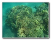 Hapuna-Beach-State-Park-Kamuela-Kohala-Big-Island-Hawaii-023