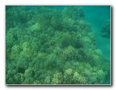 Hapuna-Beach-State-Park-Kamuela-Kohala-Big-Island-Hawaii-024