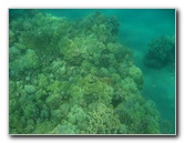 Hapuna-Beach-State-Park-Kamuela-Kohala-Big-Island-Hawaii-025