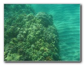 Hapuna-Beach-State-Park-Kamuela-Kohala-Big-Island-Hawaii-026