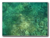 Hapuna-Beach-State-Park-Kamuela-Kohala-Big-Island-Hawaii-027