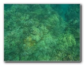 Hapuna-Beach-State-Park-Kamuela-Kohala-Big-Island-Hawaii-028