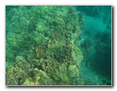 Hapuna-Beach-State-Park-Kamuela-Kohala-Big-Island-Hawaii-031