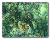 Hapuna-Beach-State-Park-Kamuela-Kohala-Big-Island-Hawaii-032