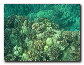 Hapuna-Beach-State-Park-Kamuela-Kohala-Big-Island-Hawaii-033