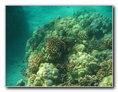 Hapuna-Beach-State-Park-Kamuela-Kohala-Big-Island-Hawaii-034