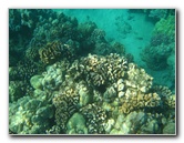 Hapuna-Beach-State-Park-Kamuela-Kohala-Big-Island-Hawaii-035