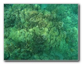 Hapuna-Beach-State-Park-Kamuela-Kohala-Big-Island-Hawaii-036