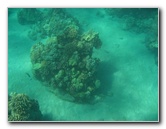 Hapuna-Beach-State-Park-Kamuela-Kohala-Big-Island-Hawaii-037