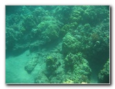 Hapuna-Beach-State-Park-Kamuela-Kohala-Big-Island-Hawaii-039