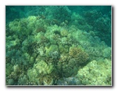 Hapuna-Beach-State-Park-Kamuela-Kohala-Big-Island-Hawaii-040