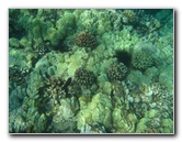 Hapuna-Beach-State-Park-Kamuela-Kohala-Big-Island-Hawaii-041