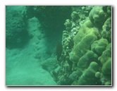 Hapuna-Beach-State-Park-Kamuela-Kohala-Big-Island-Hawaii-047