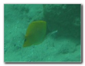 Hapuna-Beach-State-Park-Kamuela-Kohala-Big-Island-Hawaii-048